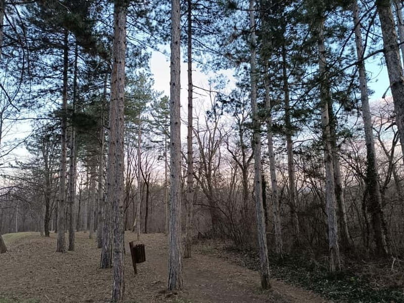 Belgrade: Kosutnjak forest hiking tour - A detailed look at the Kosutnjak Forest Hiking Tour