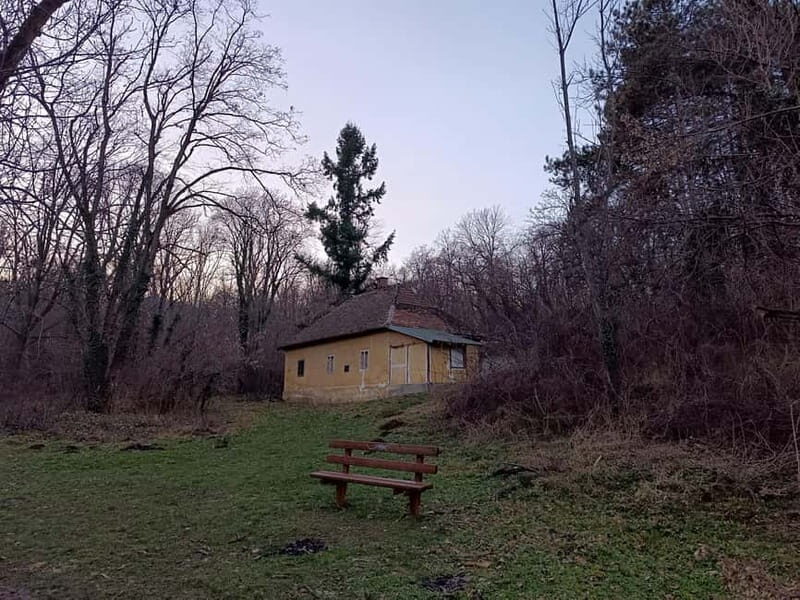 Belgrade: Kosutnjak forest hiking tour - The Experience: What Travelers Say