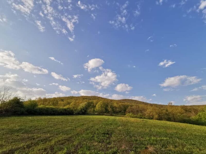 Belgrade: Mount Kosmaj Hike with Lunch and Pickup - Key Points