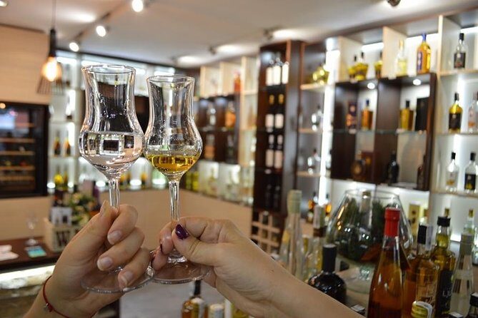 Belgrade Traditional Serbian Brandy Tasting - The Experience and Group Dynamics