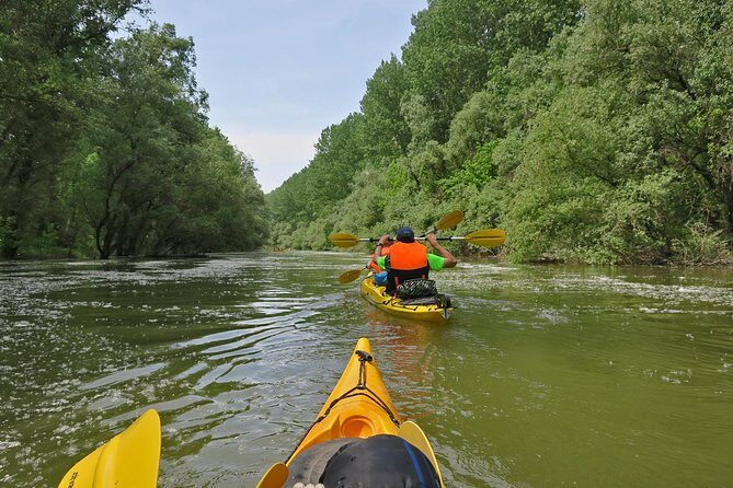 Belgrade War Island Kayak Tour - The Practicalities: What You Need to Know