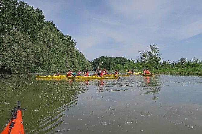 Belgrade War Island Kayak Tour - Who Will Enjoy This Experience?