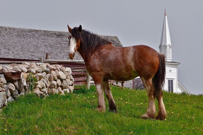 Bell Museum Baddeck to Highland Village Museum Iona - How Good Is the Value?