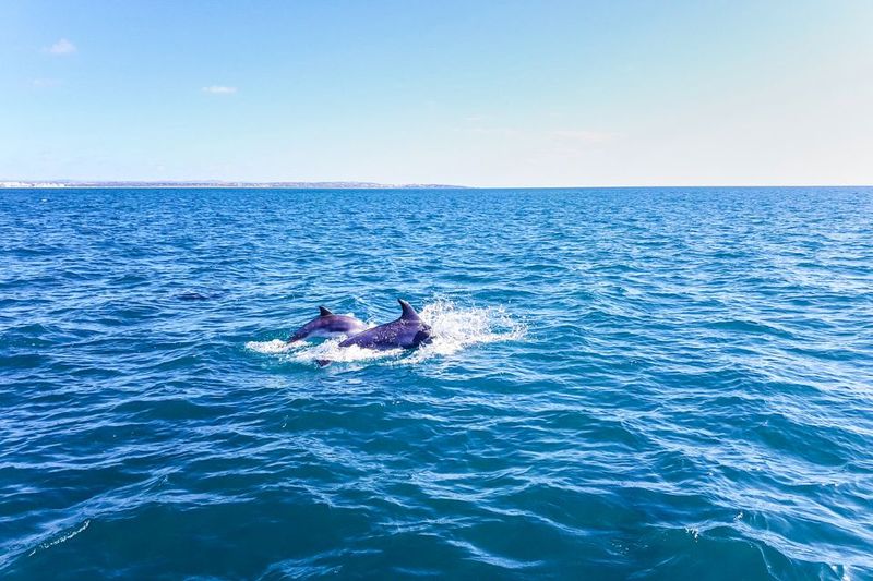 Benagil: Benagil Caves and Secret Spots Guided Kayaking Tour - Stop 1: Benagil Sea Cave—photos, cave navigation, and that wow moment