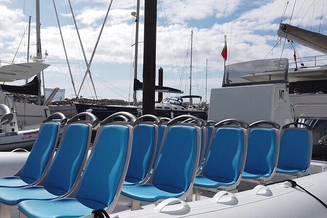 Benagil Caves Visit with Dolphins Watching from Albufeira - Key Points