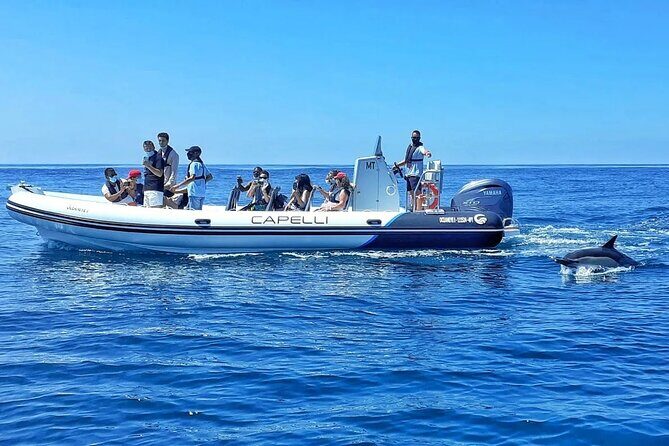 Benagil Caves Visit with Dolphins Watching from Albufeira - The Dolphin Spotting Adventure