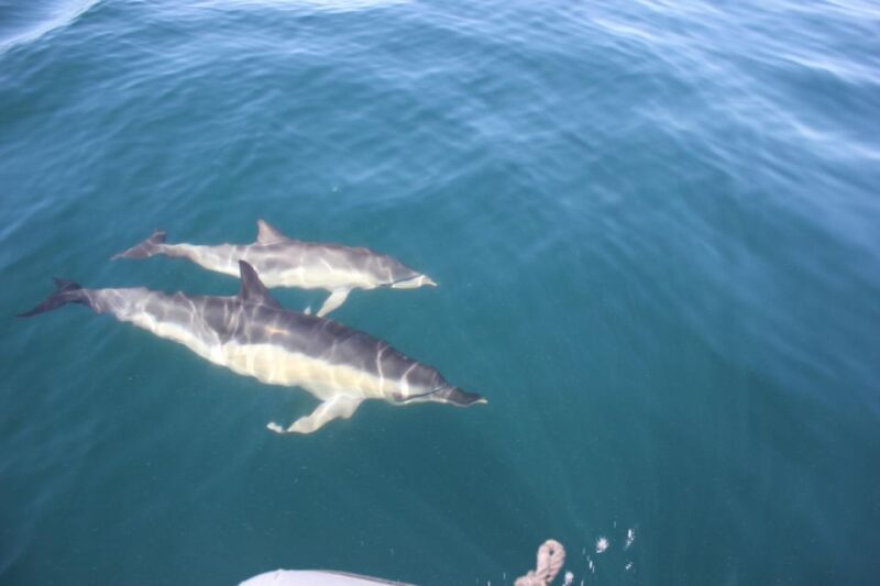 Benagil Tour - Is It Worth the Price?