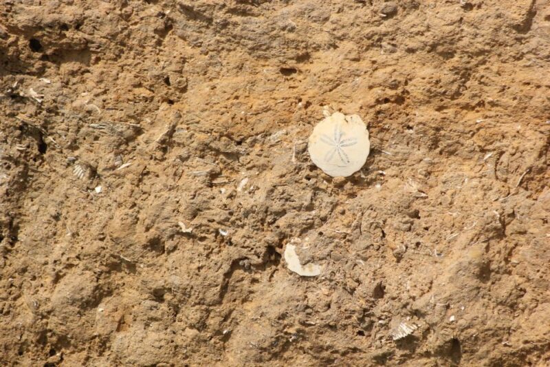 Benagil Tour - Who Would Enjoy This Tour?