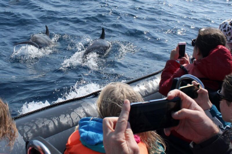 Benagil Tour - The Sum Up