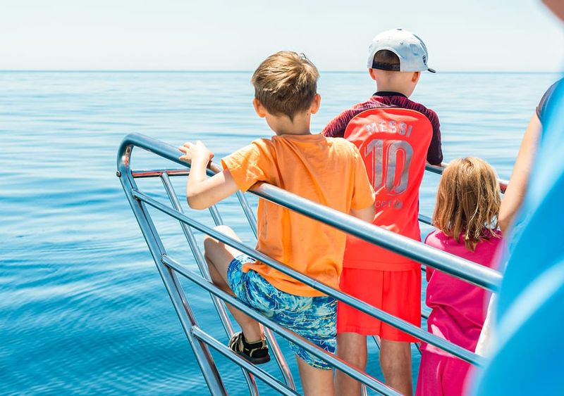 Benalmadena: Dolphin Watching Boat Tour - Marine Life Viewing and Underwater Windows in Action