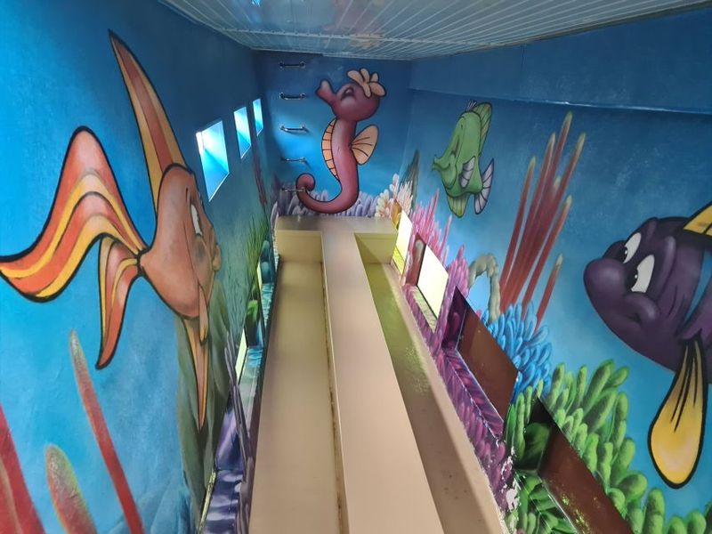 Benalmadena: Dolphin Watching Boat Tour - Swimming in Summer: A Bonus, Not a Promise