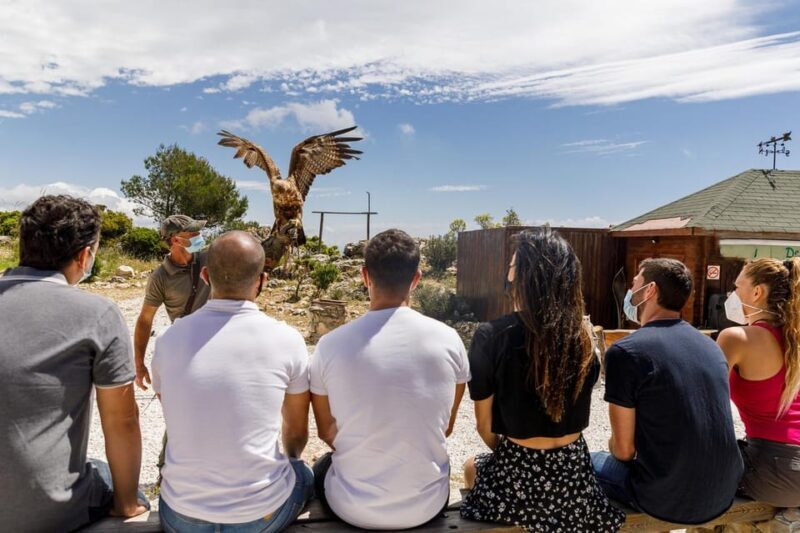 Benalmádena: Mount Calamorro Cable Car Ticket - Pricing and Value