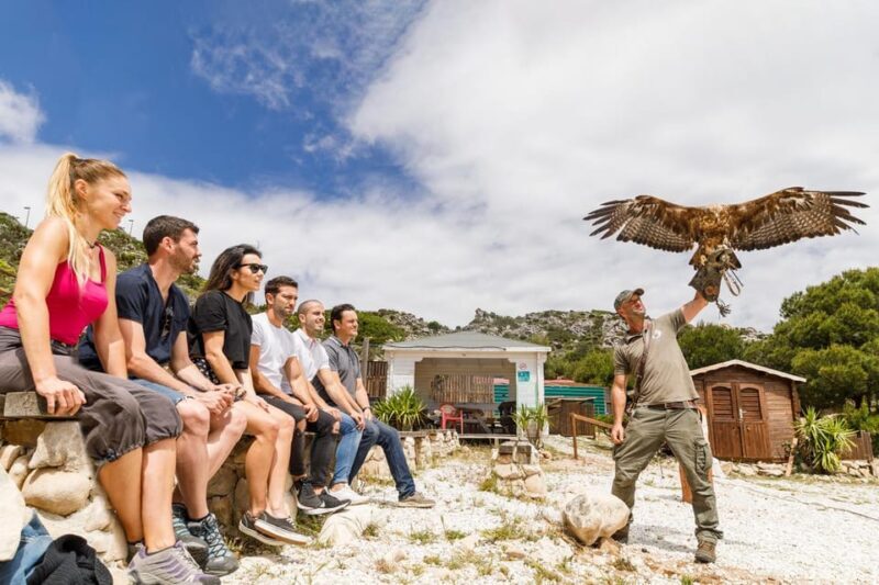 Benalmádena: Mount Calamorro Cable Car Ticket - Practical Tips for Your Visit