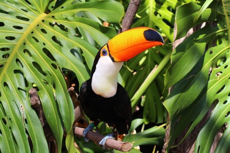 Benalmadena: Selwo Marina Admission Ticket - Practical Considerations and Limitations