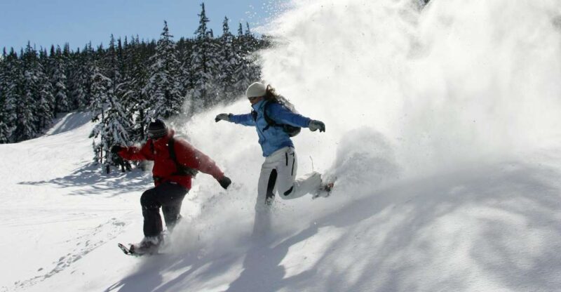 Bend: Half-Day Snowshoe Tour in the Cascade Mountain Range - The Downsides or Considerations