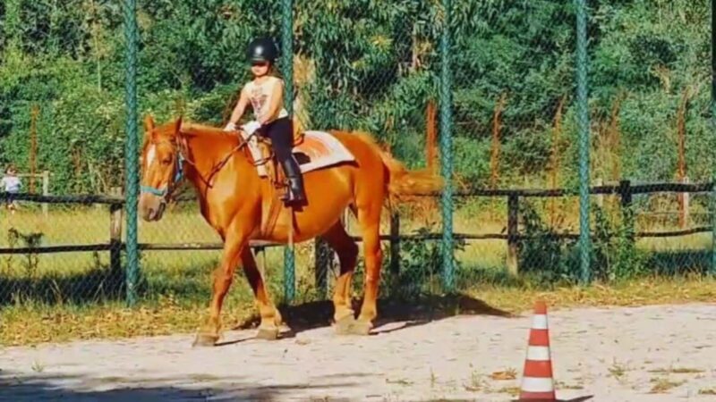 Benevento: Horseback Riding Tour with Aperitif - Final thoughts: who should consider this experience?