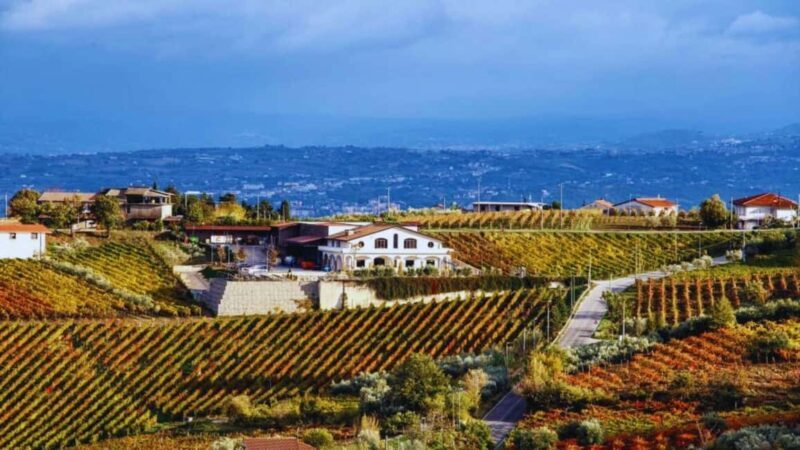 Benevento: Winery Tour with Wine Tasting and Snacks - Key Points