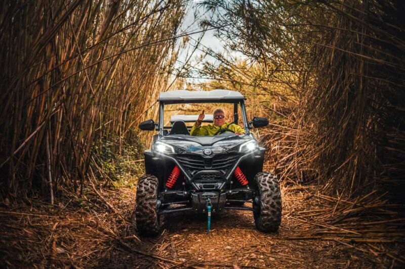 Benidorm: Buggy tour to the riverbed or Algar waterfalls - Key Points