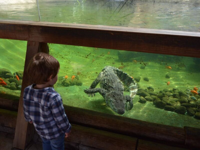 Benidorm: Terra Natura Theme Park 1-Day Tickets - Final Thoughts