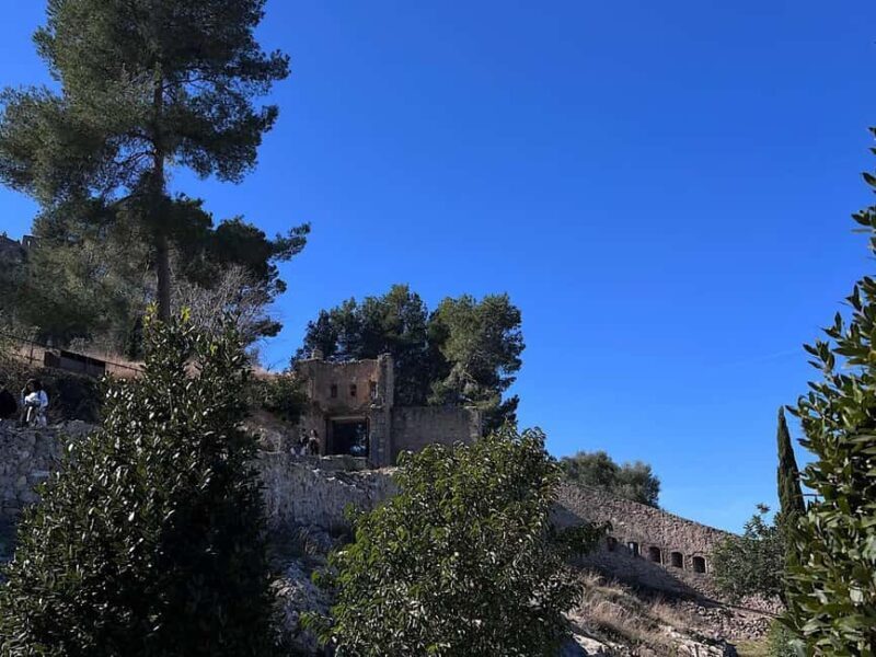 Benidorm: Xátiva Private Day Trip with Castle Visit - The Highlights: What Youll See