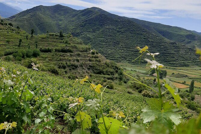 Berat 4x4 Off-Road and Vineyard Wine Tasting - Who Is This Tour For?