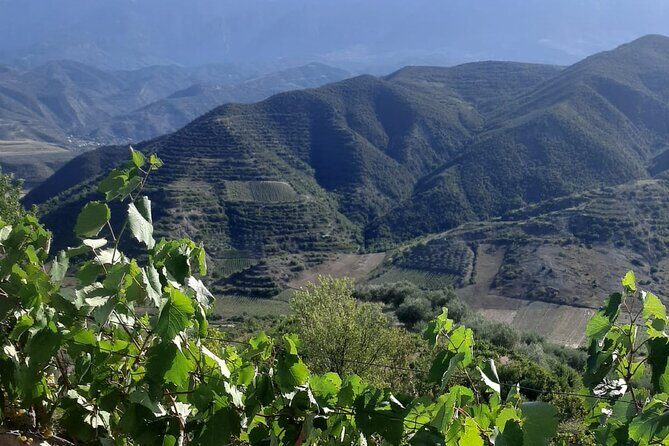 Berat 4x4 Off-Road and Vineyard Wine Tasting - Group Size and Transportation