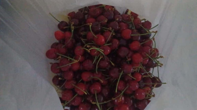 Berat: Farm-to-Table Cooking Class with Local Family - Is This Tour Right for You?