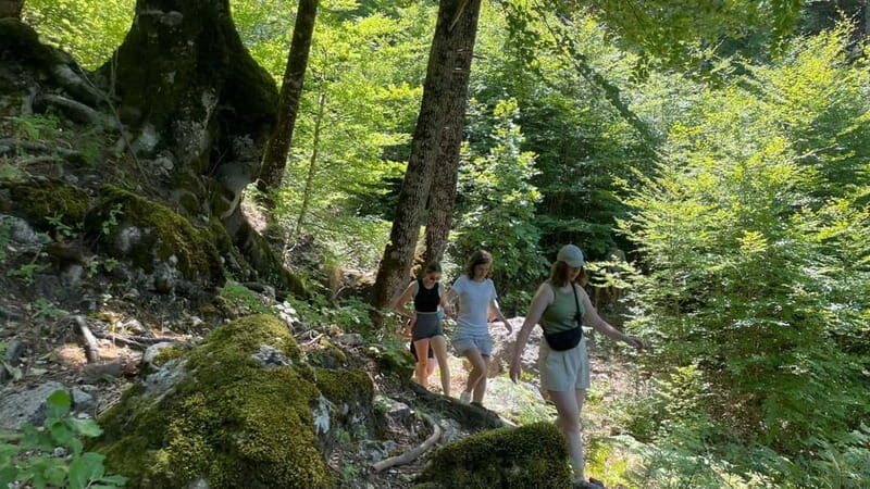 Berat: Tomorr Mountain and Lakes of Dardhë Day Trip - The Experience from Travelers’ Perspectives