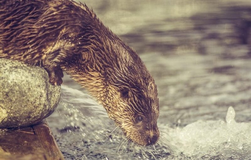 Bergen: Bergen Aquarium Entry Ticket - Overall Experience at Bergen Aquarium