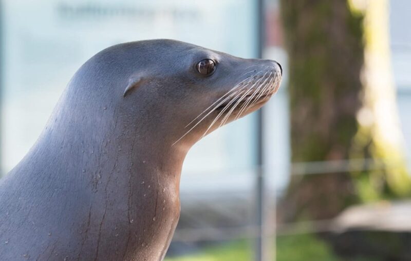 Bergen: Bergen Aquarium Entry Ticket - The Practicalities