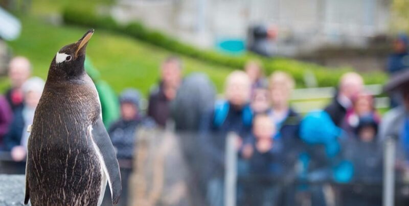 Bergen: Bergen Aquarium Entry Ticket - Real Review Insights