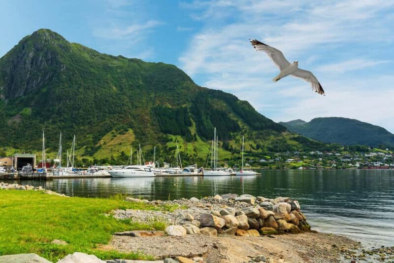 Bergen: Bondhus Glacier Lake & Rosendal Guided Day Trip - Final Thoughts: Who Will Love This Tour?