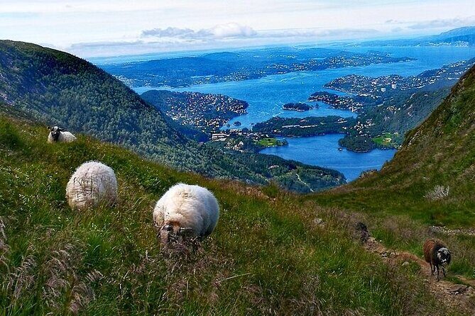 Bergen Classic Private hiking - FAQ