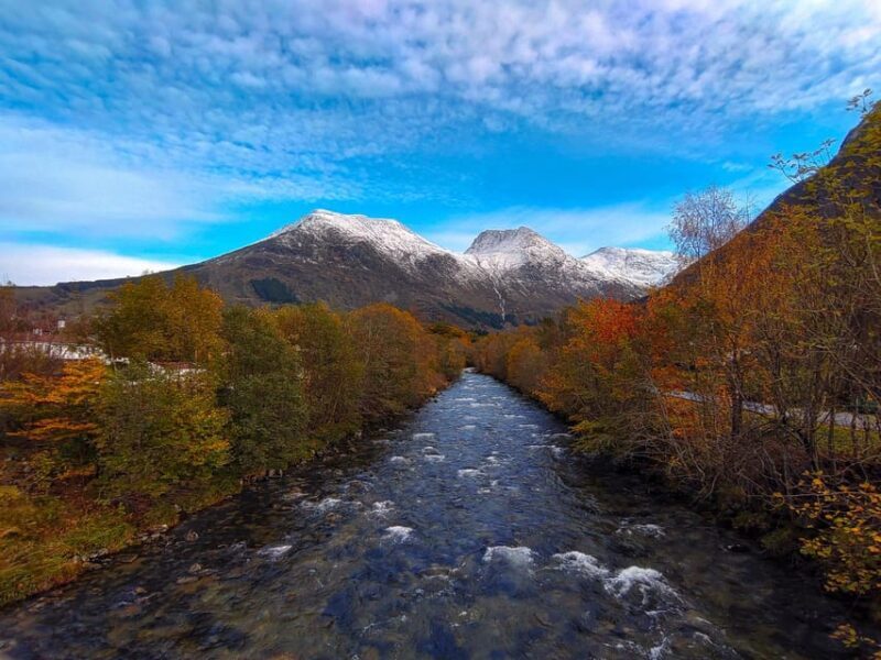 Bergen: Cruise to beautiful Rosendal by the Hardangerfjord - Final Thoughts