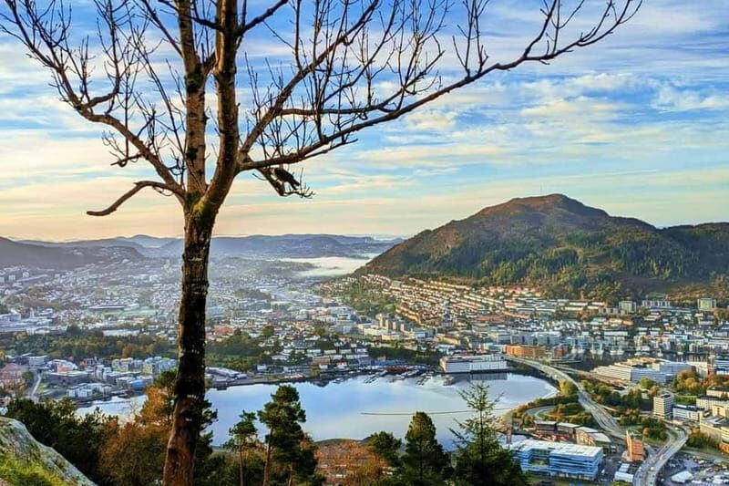 Bergen Like a Local: Culture, Views, and the Stave Church - Key Points