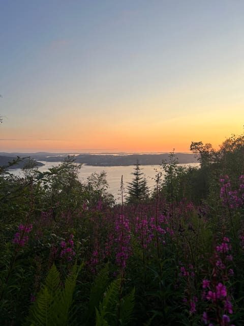 Bergen Magical Nature Tour | ViFlowExperience - An In-Depth Look at the Bergen Magical Nature Tour