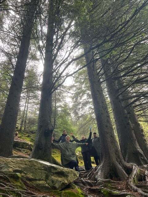 Bergen Magical Nature Tour | ViFlowExperience - Final Recommendation