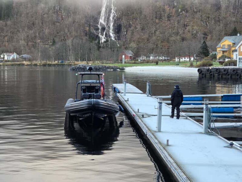 Bergen: Mostraumen Fjord Safari by Premium RIB Boat - Addressing the Value