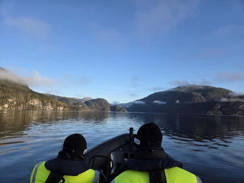 Bergen: Mostraumen Fjord Safari by Premium RIB Boat - Who Should Consider This Tour?