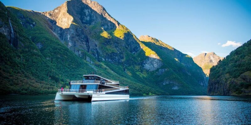 Bergen: Nærøyfjorden, Flåm, and Stegastein Guided Bus Tour - Key Points