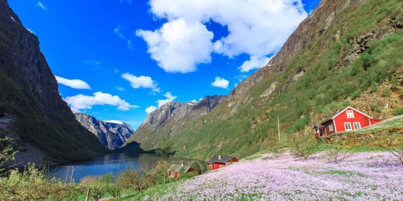 Bergen: Nærøyfjorden, Flåm, and Stegastein Guided Bus Tour - An In-Depth Look at This Guided Bus Tour