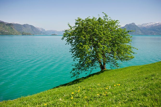 Bergen: Private Full-Day Roundtrip to Hardangerfjord with cruise - Why This Tour Might Be a Great Choice for You