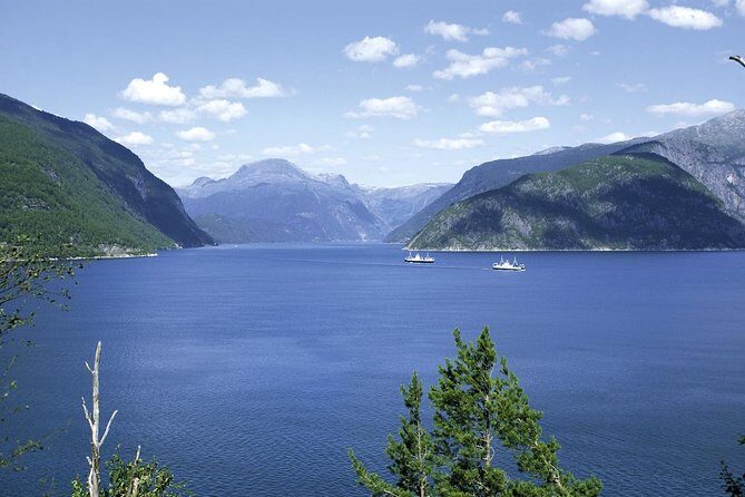 Bergen: Private Full-Day Roundtrip to Hardangerfjord with cruise - Cost and Value