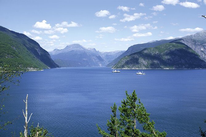 Bergen: Private Full-Day Roundtrip to Hardangerfjord with cruise - Who Is This Tour Best For?