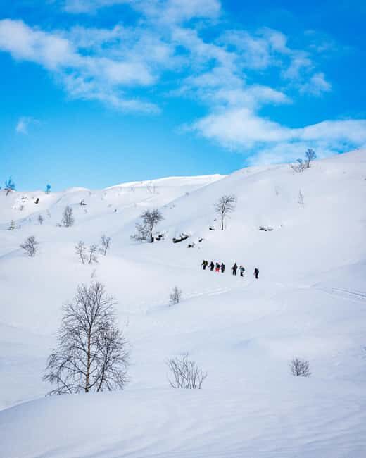 Bergen: Snowshoe Hike - The Practicalities: Booking and What to Bring