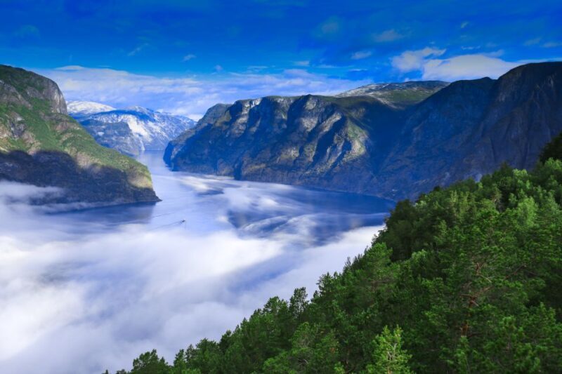 Bergen: Viking Village, Nærøyfjord Cruise & Flåm Railway - Breaking Down the Experience