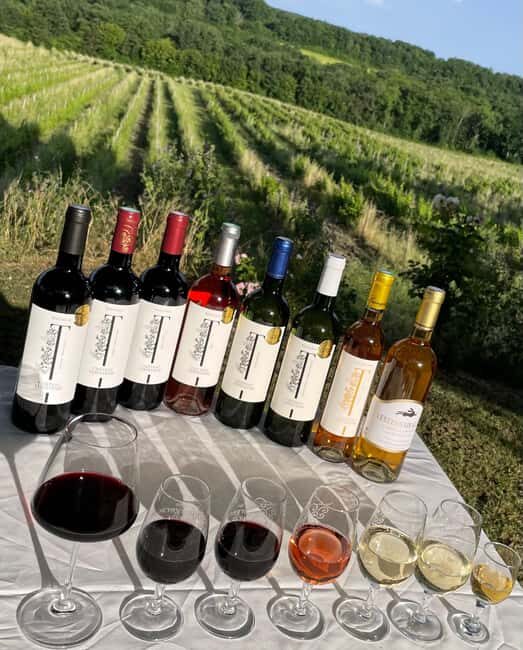 Bergerac: Wine Tasting at Chateau Lestevenie - What to Expect from the Bergerac Wine Tasting