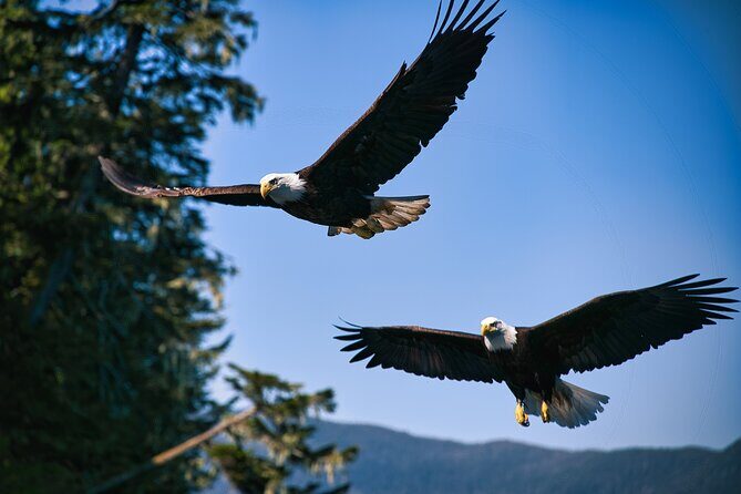 Bering Sea Crab Fisherman's Tour from Ketchikan - Practical Tips
