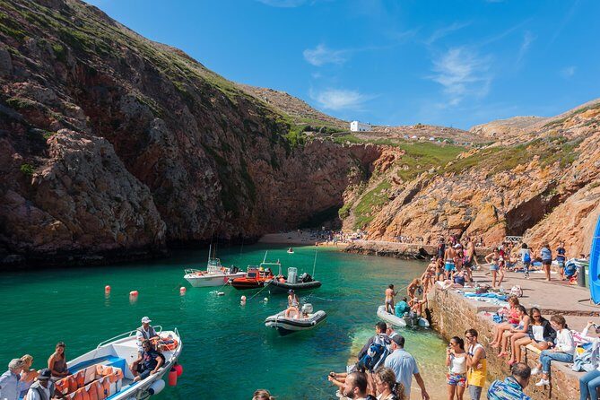 Berlenga Island Full Day Tour from Lisbon - The Pros and Cons