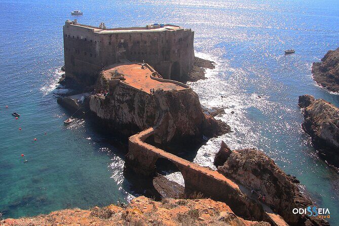 Berlengas Island Catamaran Tour - Round Trip - FAQ